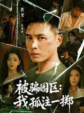 被骗园区：我孤注一掷 我被骗到缅北的那些年现代都市在线观看