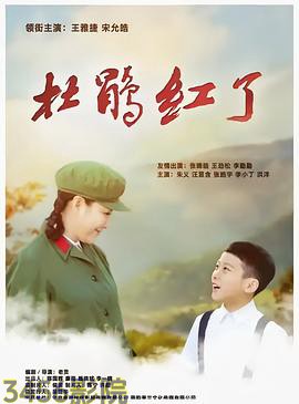 杜鹃红了国产剧在线观看